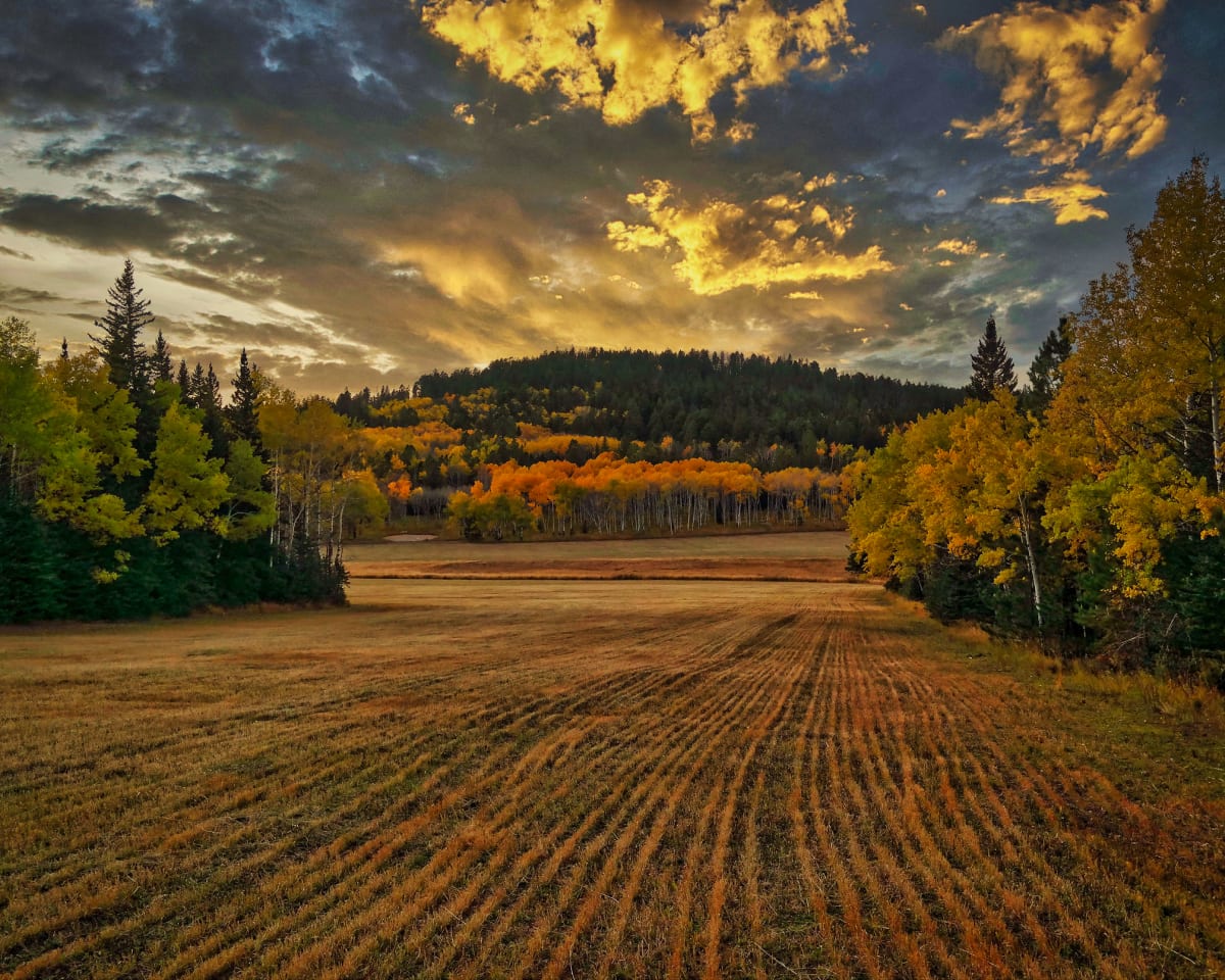 Golden Hour by Roger O'Dea 