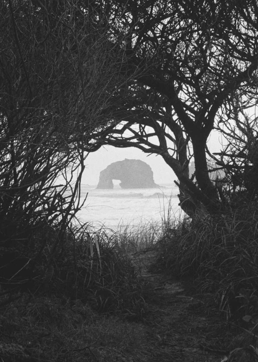 Rockaway Through the Trees by Marissa Casper 