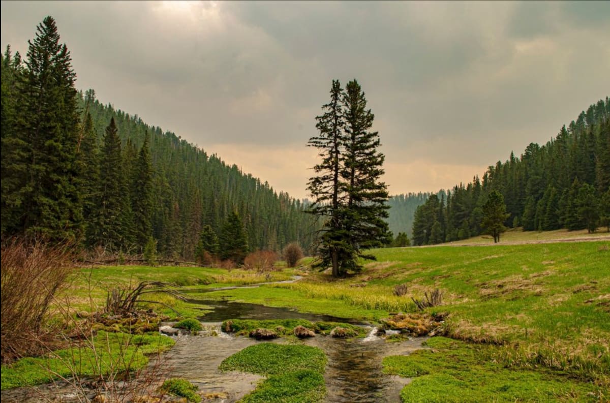 The Secret in Spearfish Canyon by Vivian Marta 