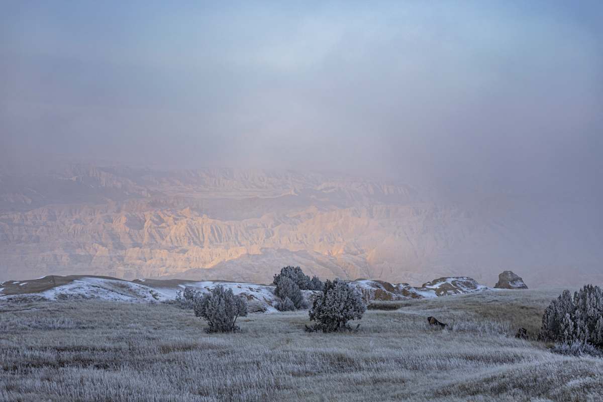 Hiding Behind the Fid by Sierra Hoop 