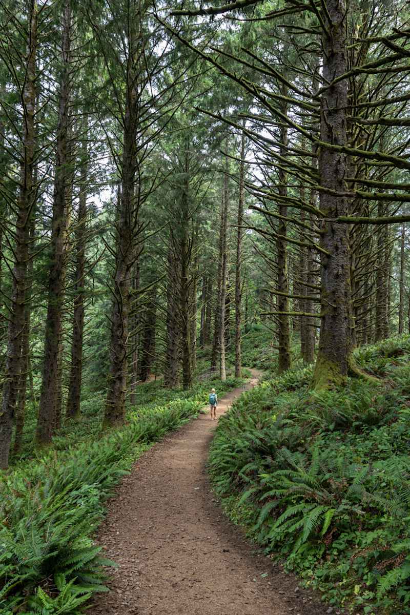 Grounded by Sierra Hoop 