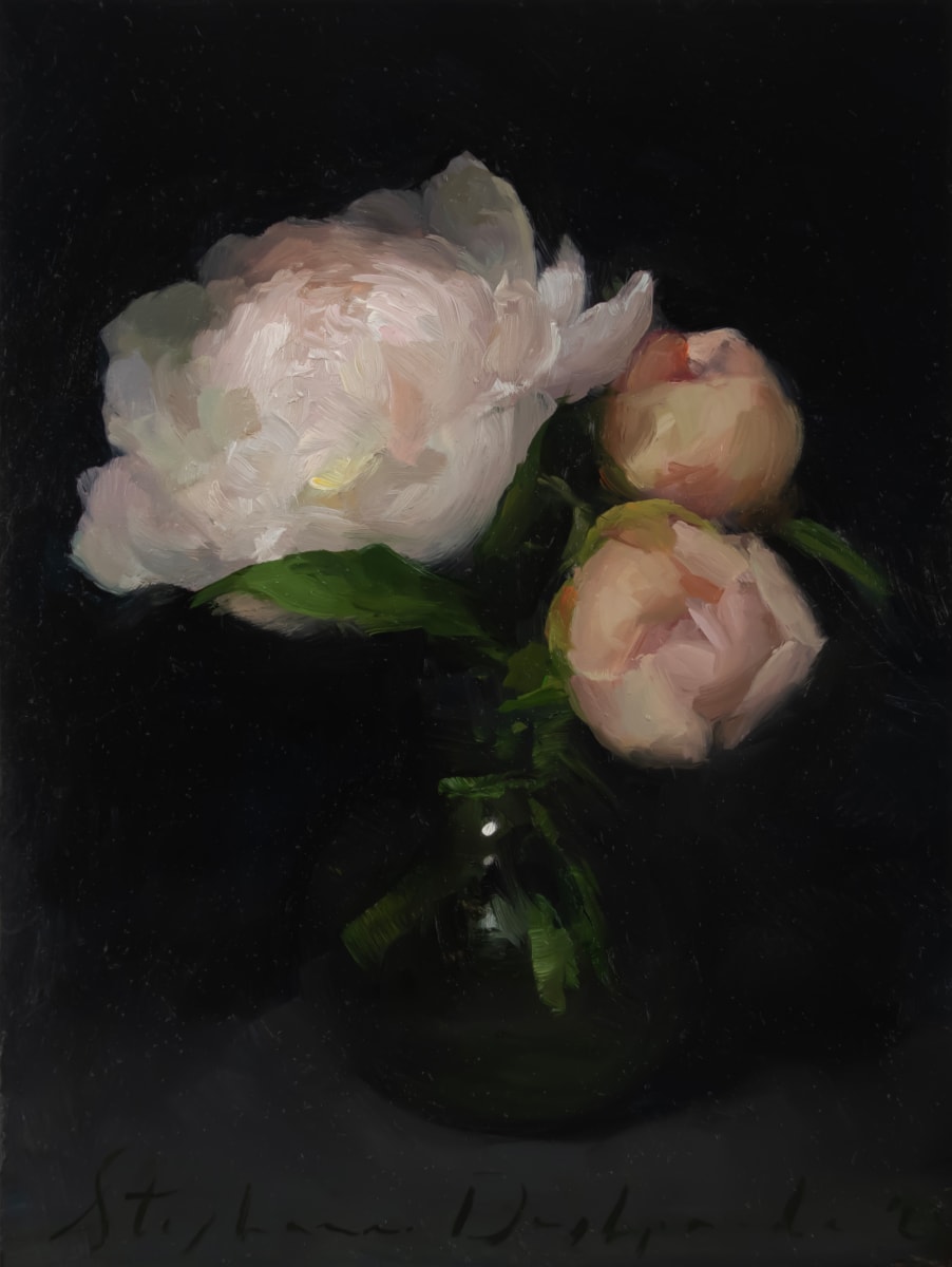 Opening Peonies, by Stephanie Deshpande 