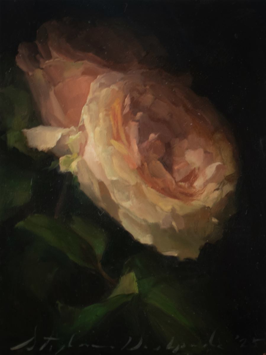Emerging Roses by Stephanie Deshpande 