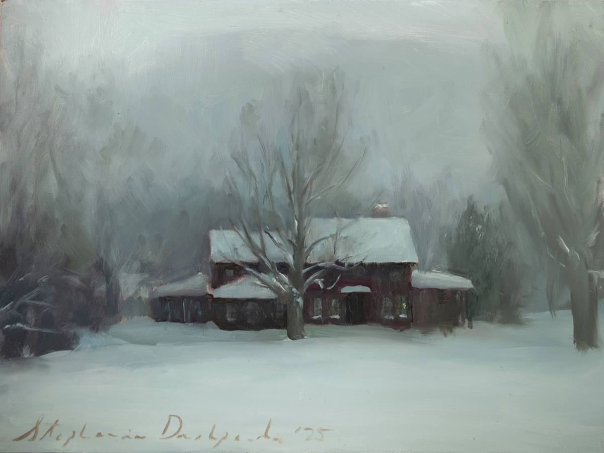 Adirondack Snowfall by Stephanie Deshpande 