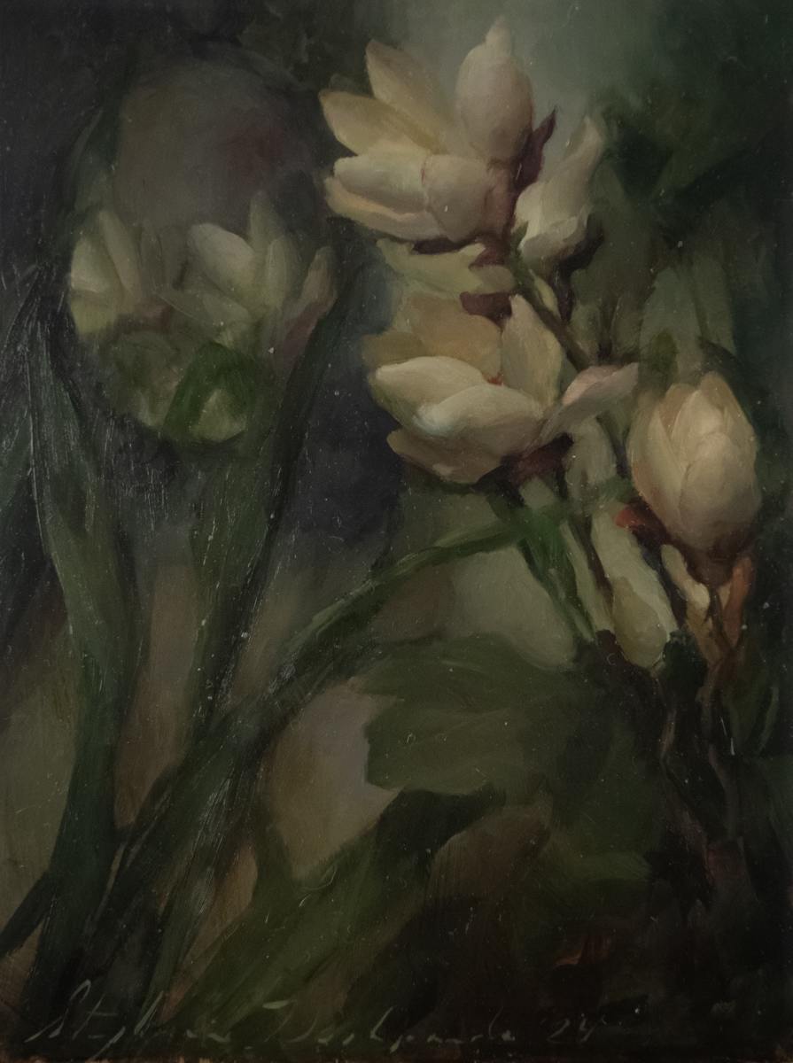 Magnolias at Dusk by Stephanie Deshpande 