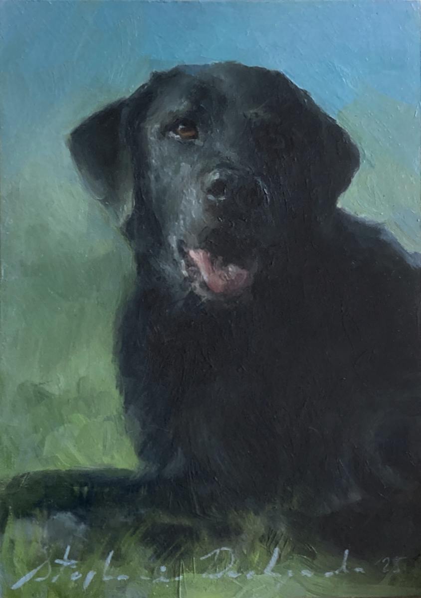 Portrait of Higgs Boson by Stephanie Deshpande 