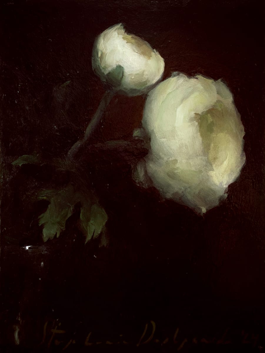Ranunculus Duo by Stephanie Deshpande, Image 3.