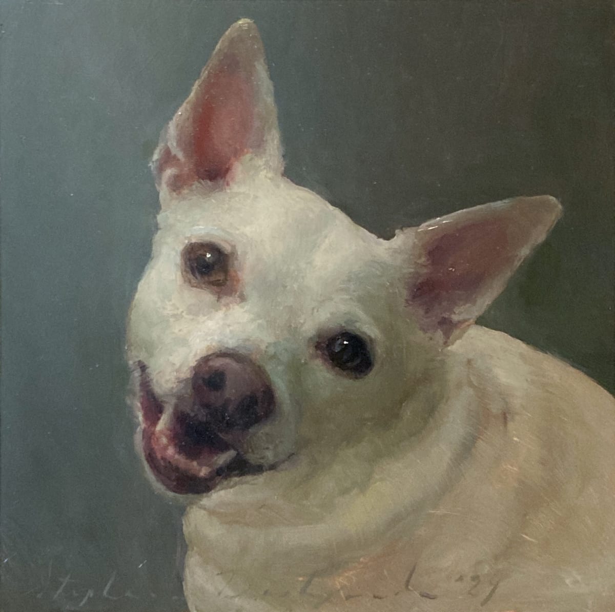 Portrait of Turnip by Stephanie Deshpande 