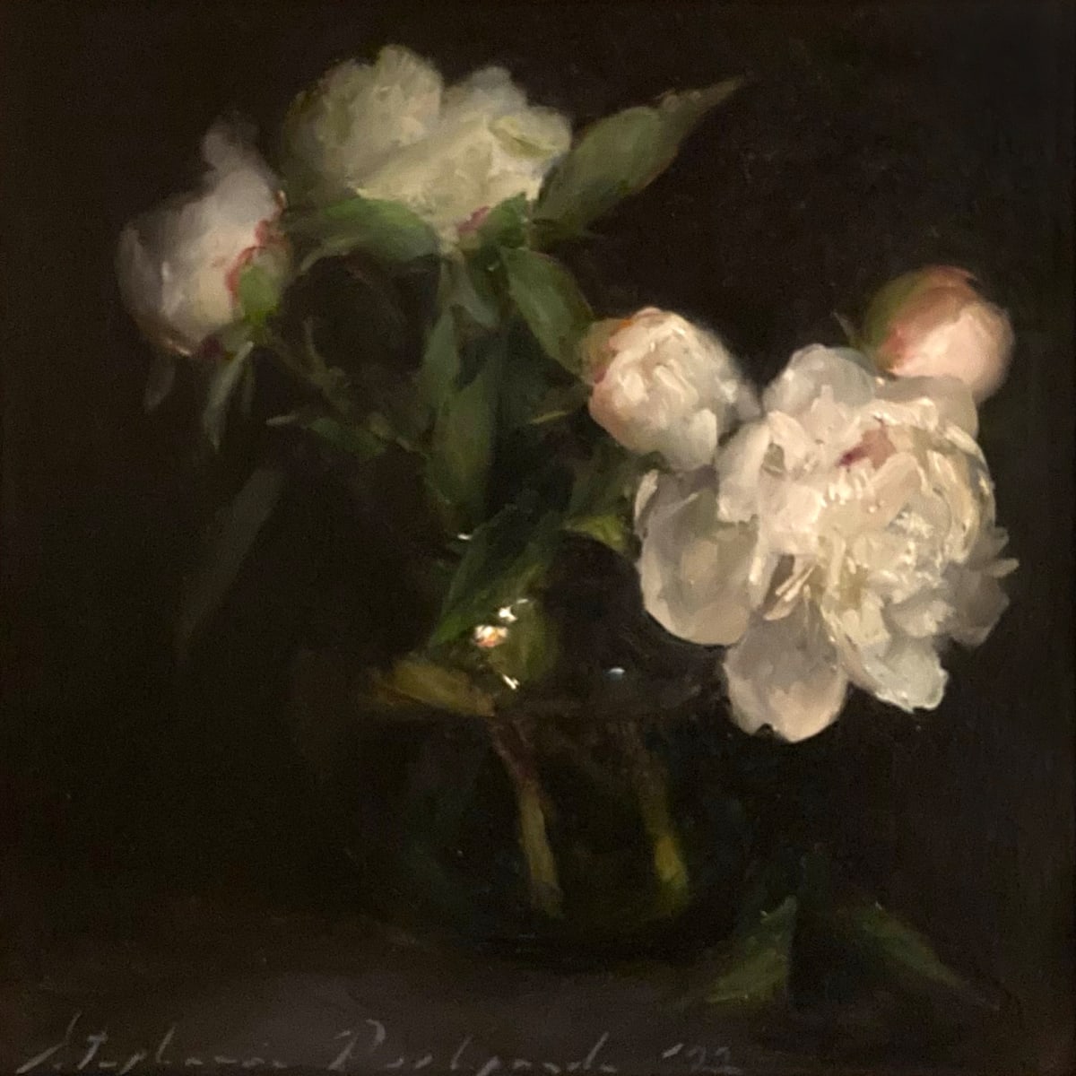 White Peonies by Stephanie Deshpande 