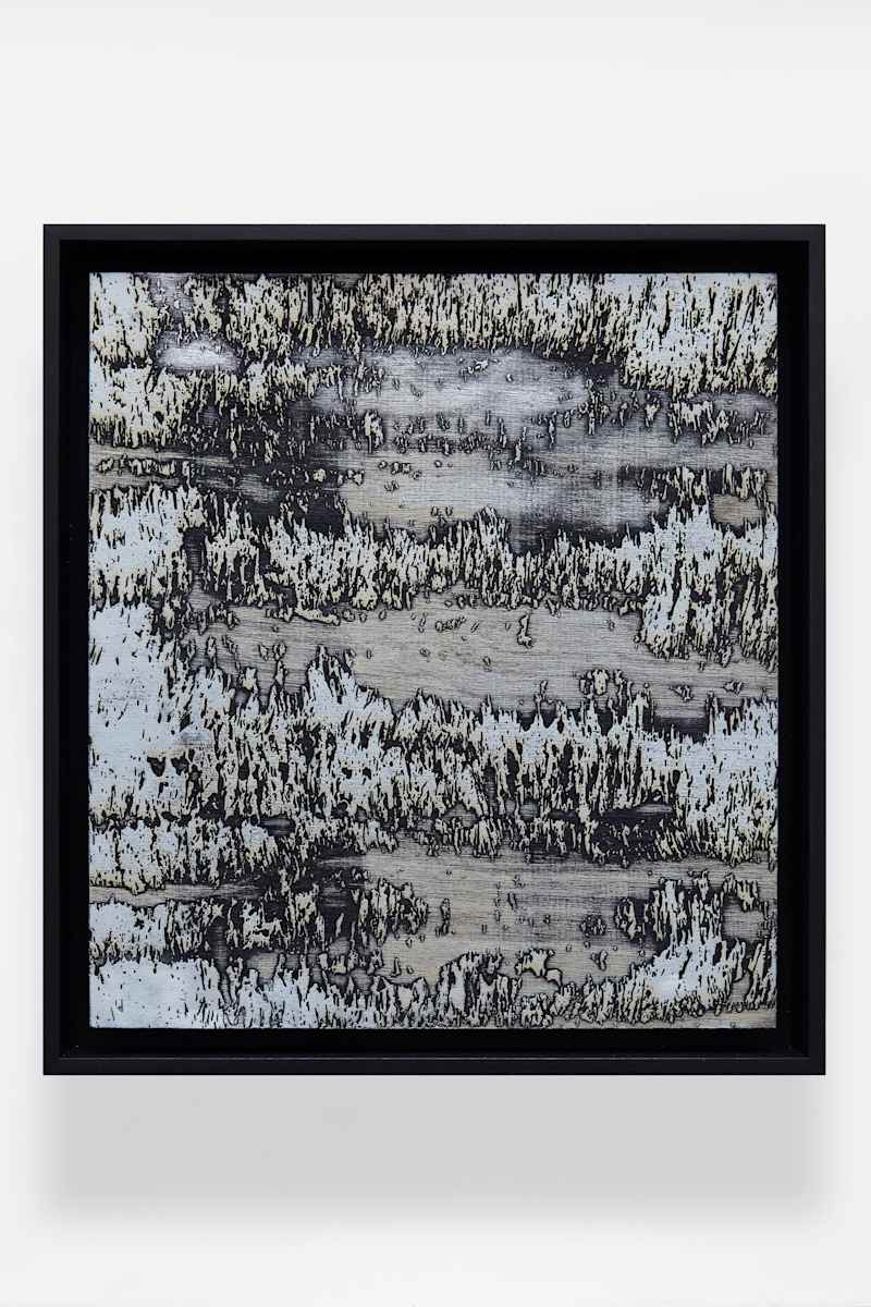 Black and White Debris by JOYCE BILLET, Image 4.
