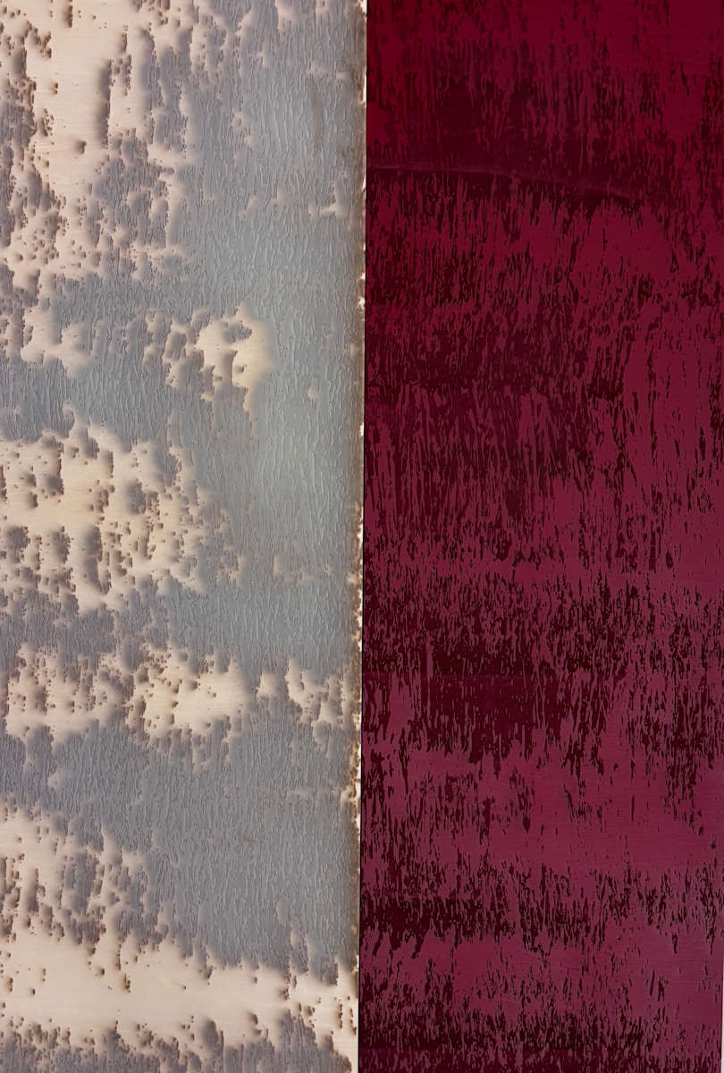 Dichotomy (Red & Raw) by JOYCE BILLET  Image: 36 x 12 x 1.5 inches each