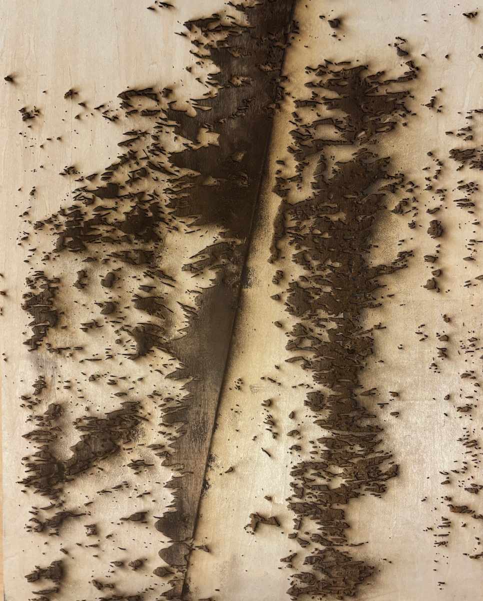 Raw Oblique by JOYCE BILLET 