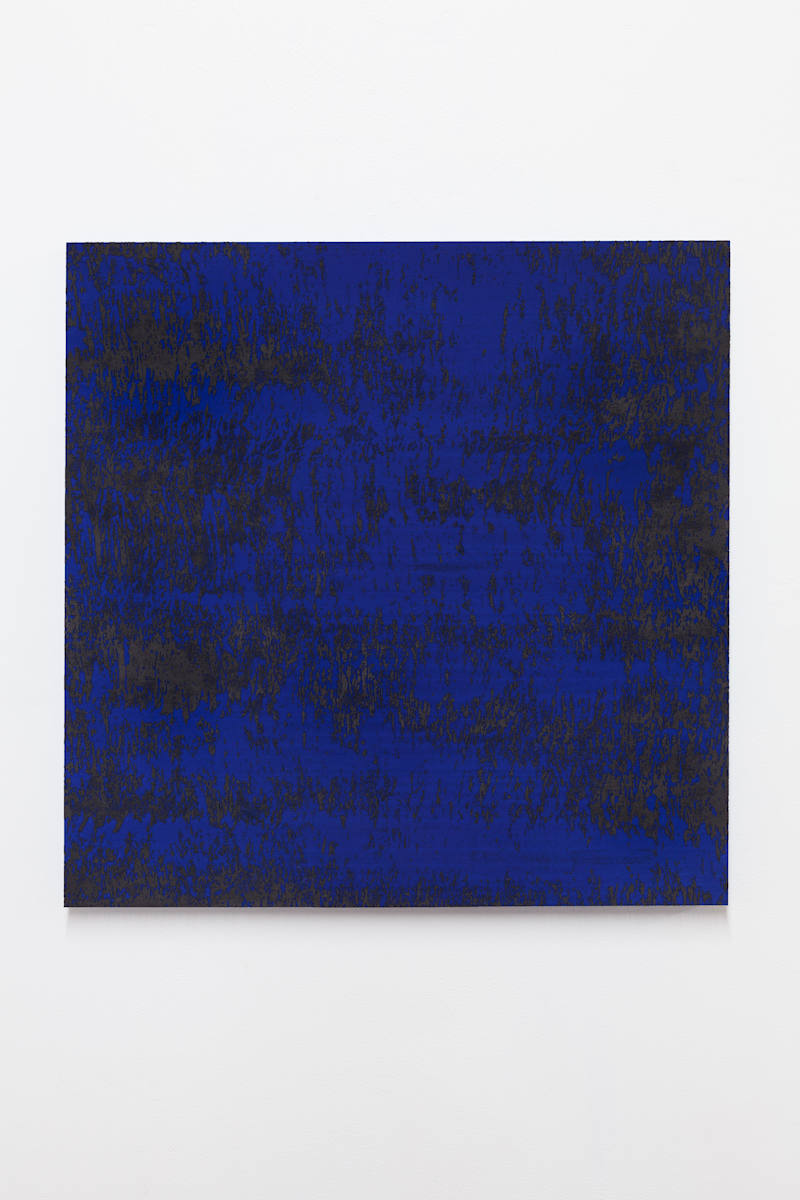 Black and Blue Debris by JOYCE BILLET 