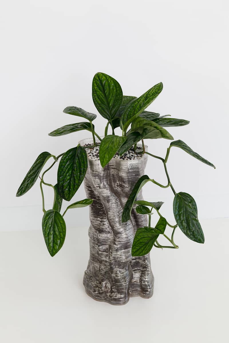 Above the Ground Planter (Small) by JOYCE BILLET  Image: Dimensions Variable
limited edition of 50