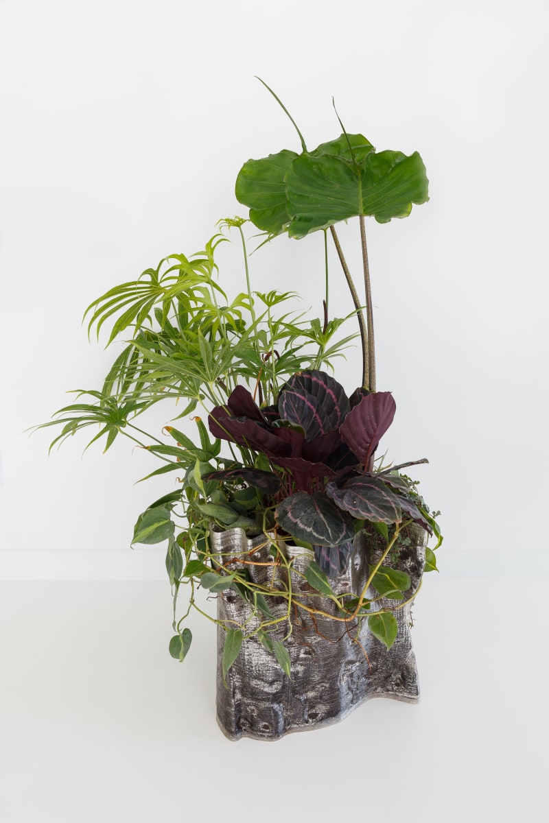 Above the Ground Planter (Large) by JOYCE BILLET, Image 1.