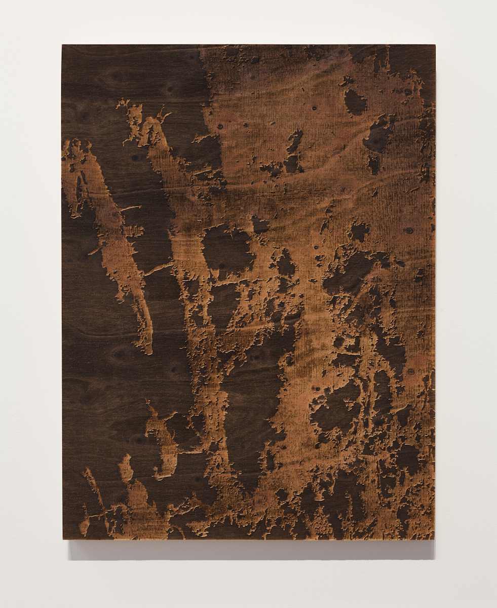 Bark I by JOYCE BILLET 