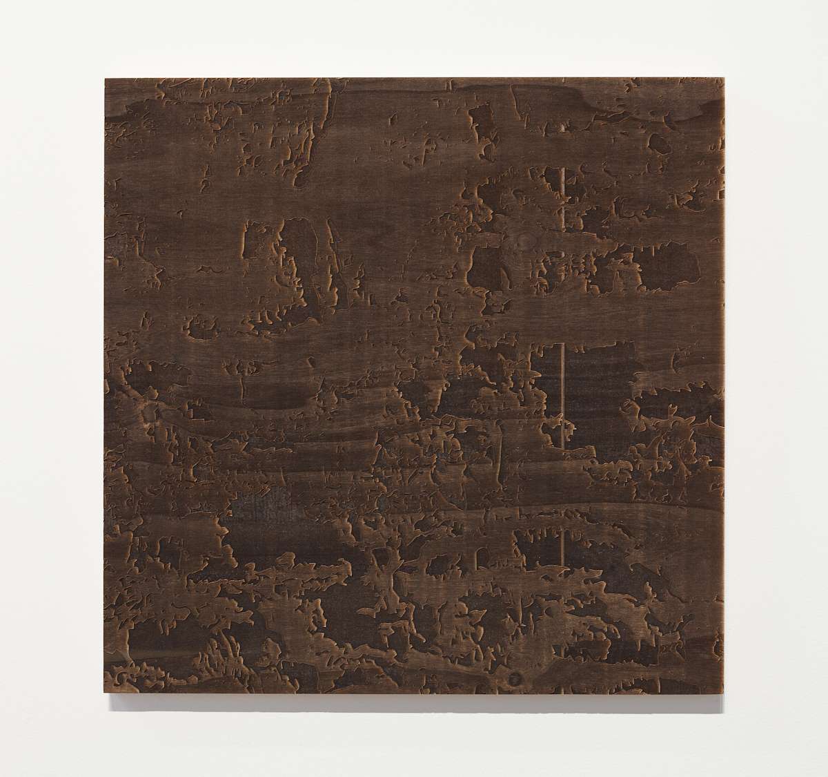 Laced Bark by JOYCE BILLET 