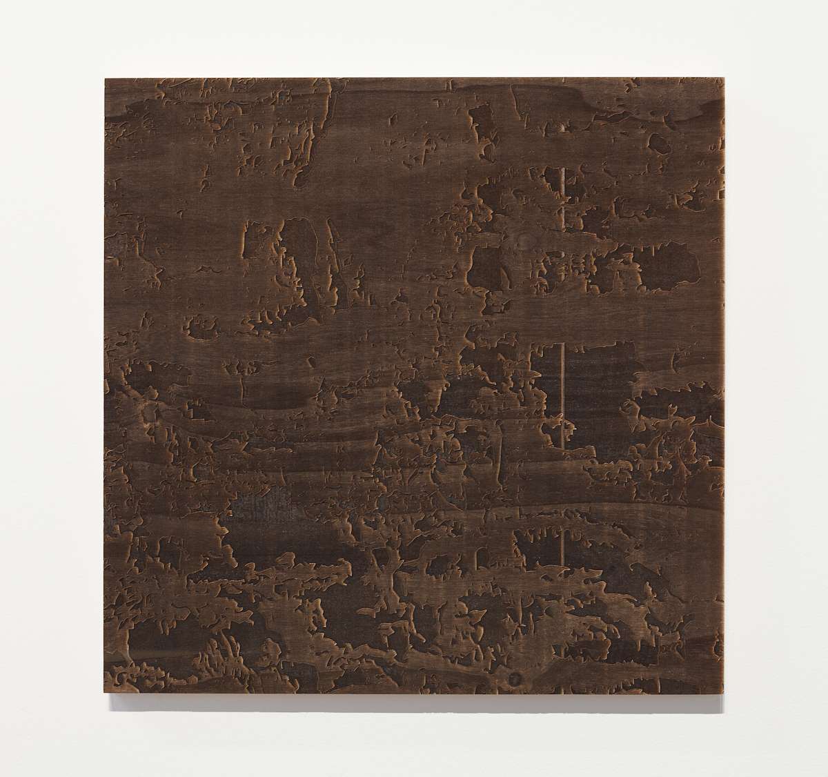 Laced Bark by JOYCE BILLET, Image 2.