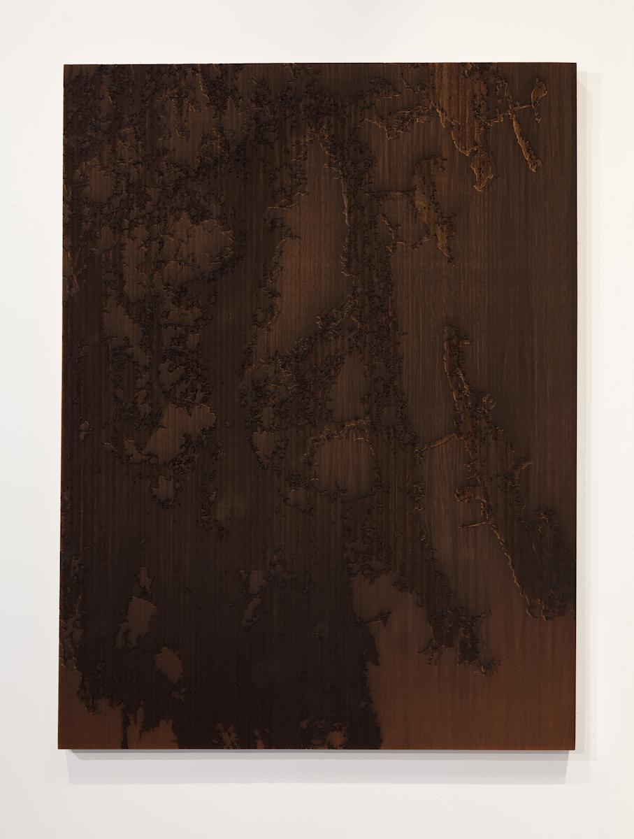 Bark II by JOYCE BILLET 