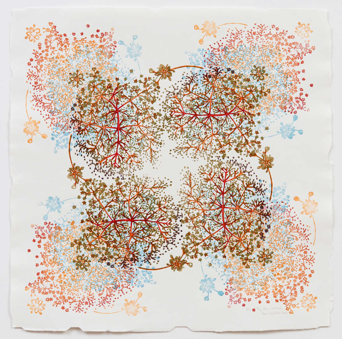 Big Zova Network by April Vollmer  Image: network of elderflowers expanded from two blocks