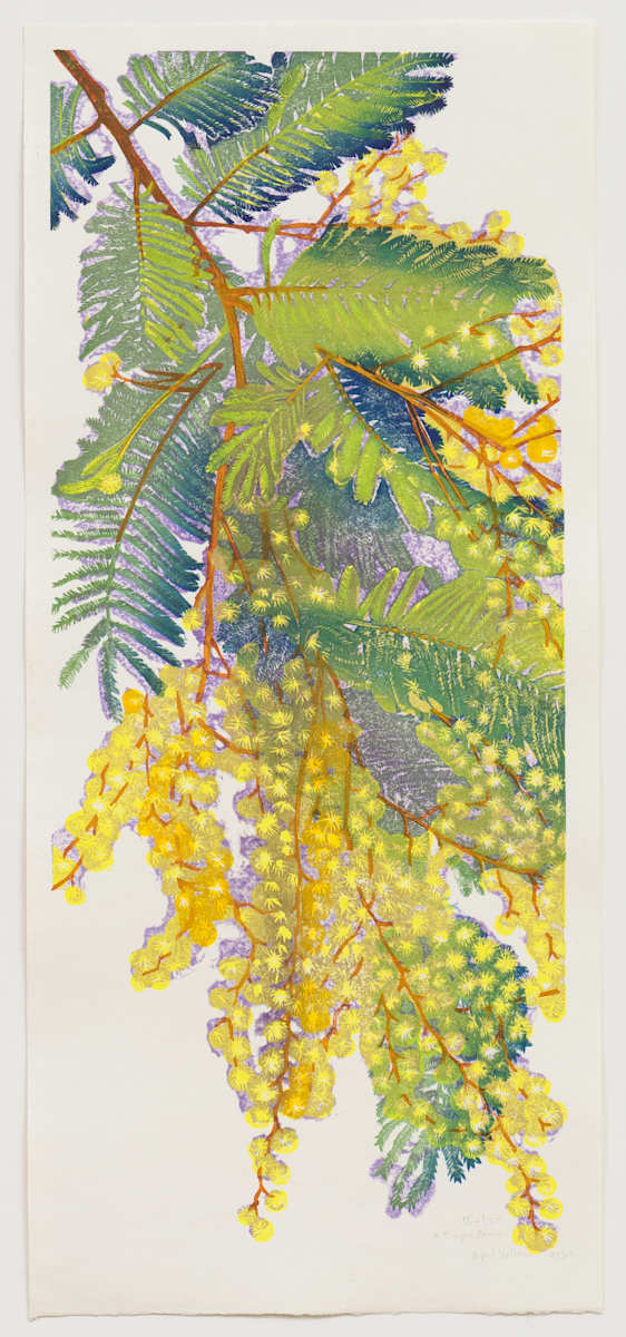 A Simple Formula (acacia) by April Vollmer  Image: second of two editions; simple elements create a complex effect with four blocks, six colors