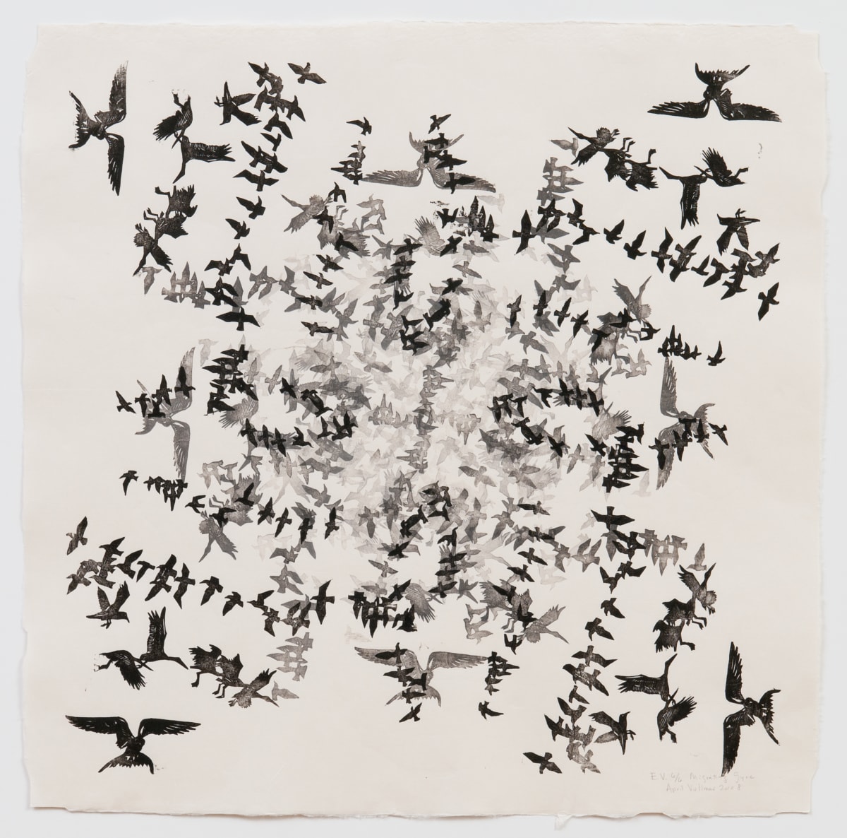 Migrating Gyre 6 by April Vollmer  Image: small flocks of birds repeated to create patterns (large file)