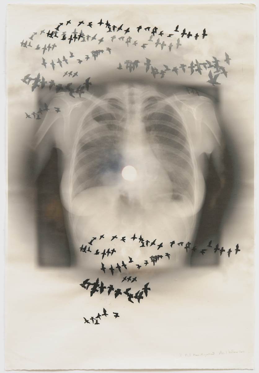Full Moon Migration (birds overhead) by April Vollmer  Image: x-ray torso embodying a full moon and migrating birds at night