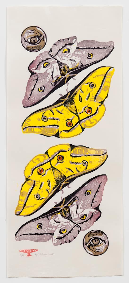 Eye Cup (Saturnidae) (ed 18) by April Vollmer  Image: moths with eyespots from Visegrad residency 