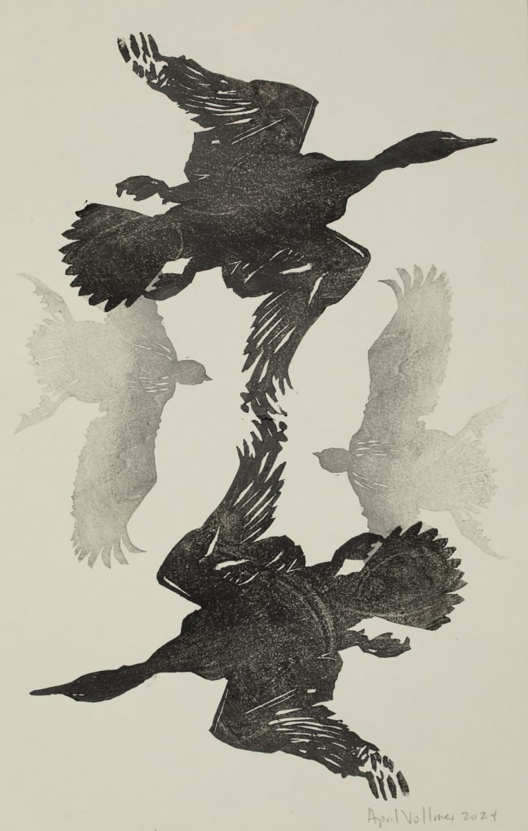 Bird Twins Cormorant Page by April Vollmer  Image: Cormorant page from the book Bird Twins