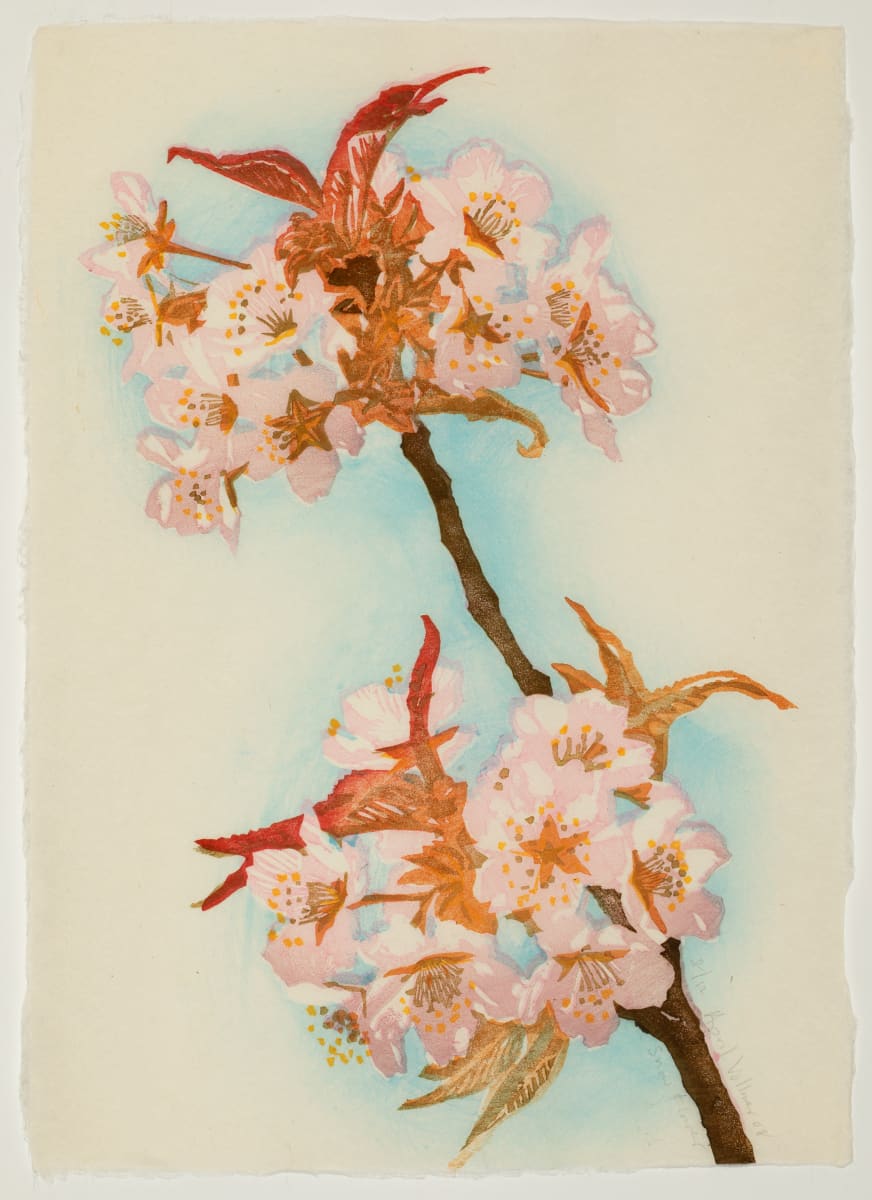 Snow Flower (Small Wand) (ed 12) by April Vollmer  Image: cherry blossoms on Mino lightweight kozo paper