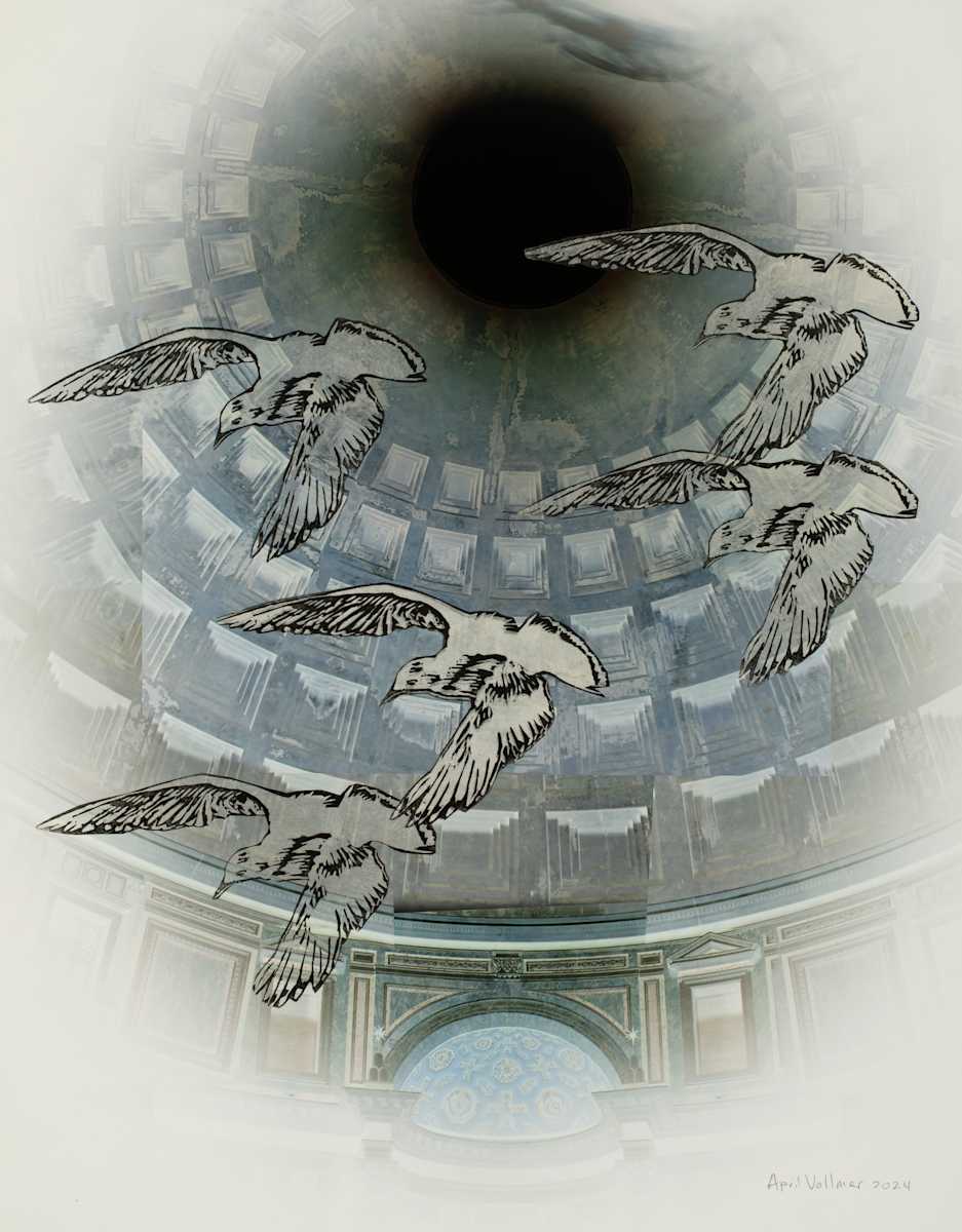 Bonaparte in the Pantheon by April Vollmer  Image: Bonaparte's gulls swooping in the oculus of the Pantheon