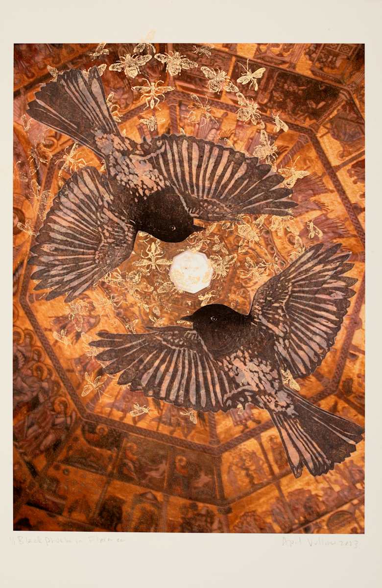 Inside Out: Black Phoebe in Florence by April Vollmer  Image: flycatcher with insects in the dome of the San Giovanni Baptistry, Florence