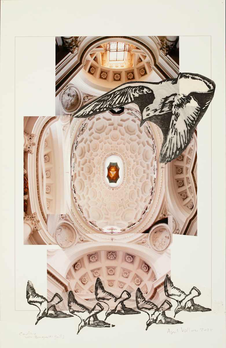 Inside Out: San Carlino with Bonaparte Gulls by April Vollmer  Image: San Carlo alle Quattro Fontane, 11 x 17 with Bonaparte's gulls