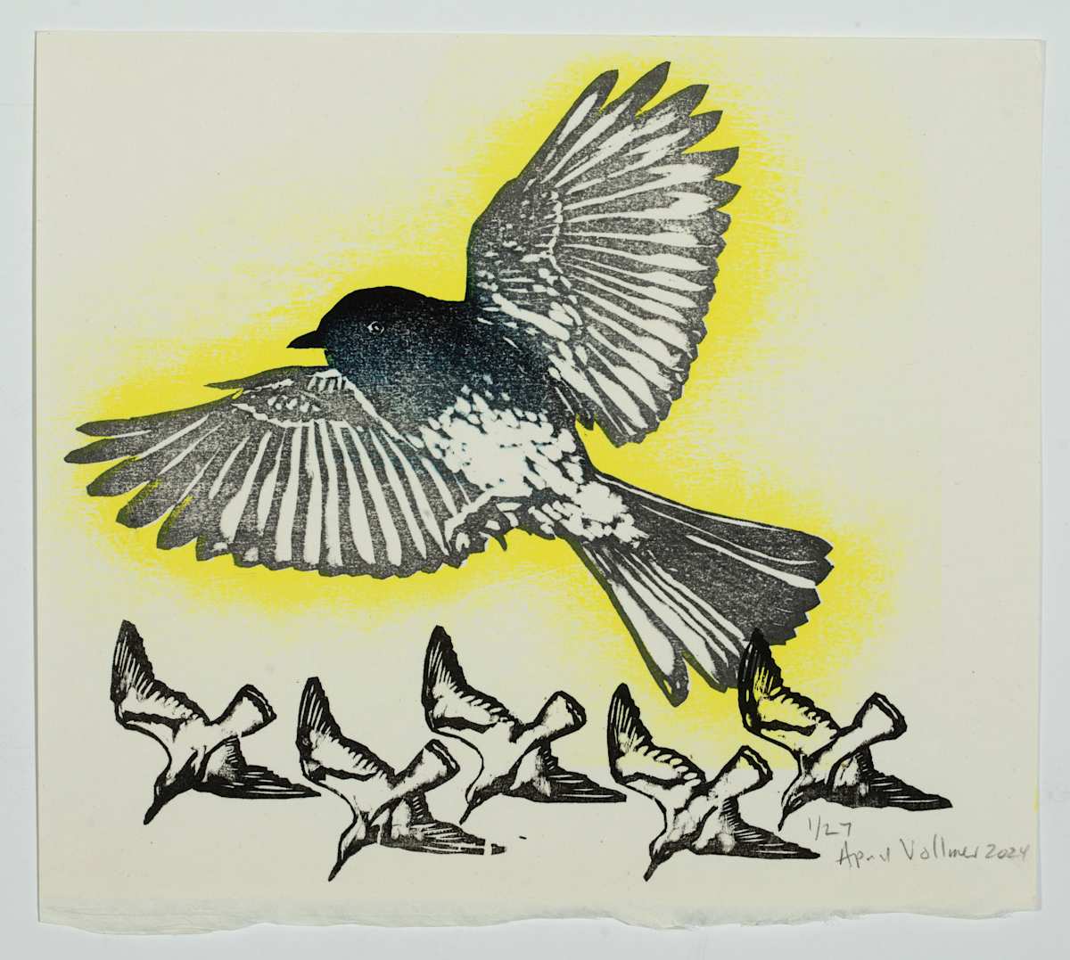 Swoop (black phoebe and Bonaparte's gulls) (ed 27) by April Vollmer  Image: phoebe and Bonaparte's gulls hunting prey, edition of 27