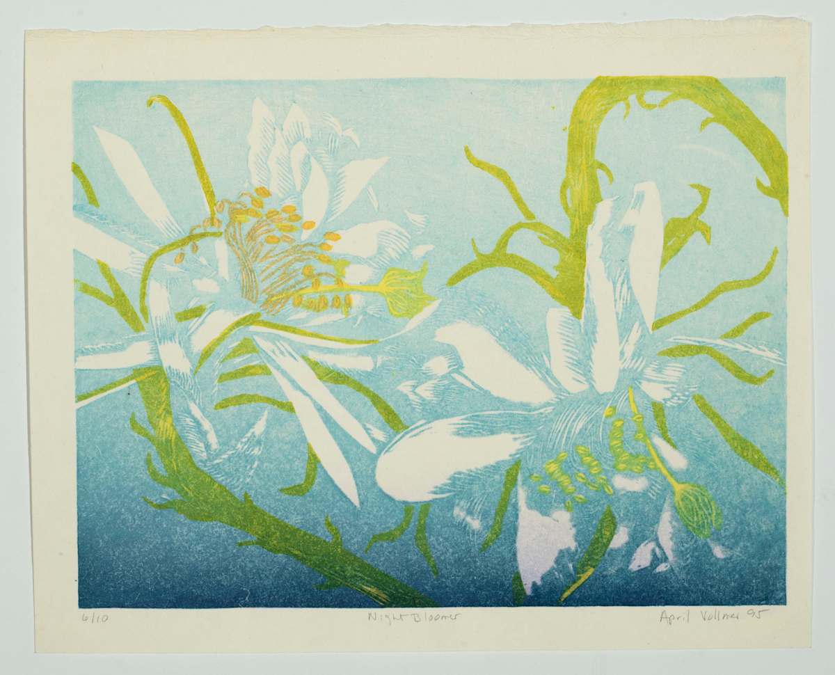 Night Bloomer by April Vollmer  Image: two night blooming cereus with gradation of blue