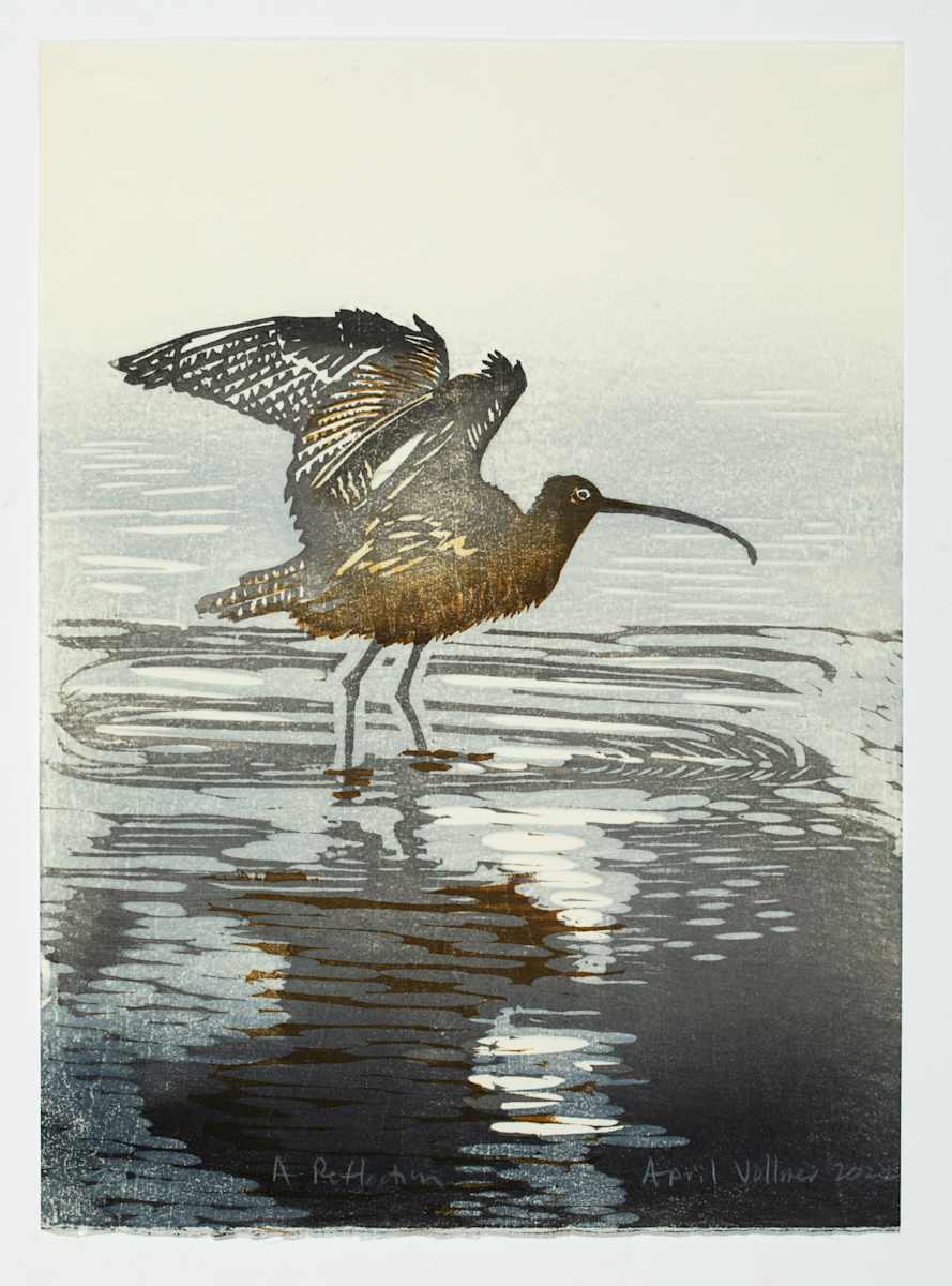 A Reflection (Long-billed Curlew) (Edge of Infinity Exchange) (ed 30) by April Vollmer  Image: long billed curlew in misty light at the lagoon for Wuon Geon Ho's portfolio about bokashi, gradation