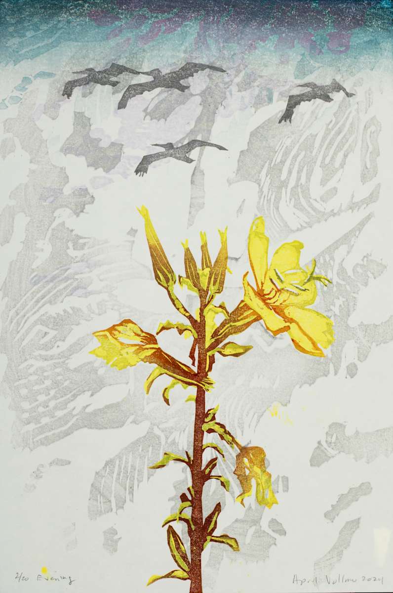 The Flight of Birds: Evening (ed 20) by April Vollmer  Image: Pelicans flying over Hooker's evening primrose 