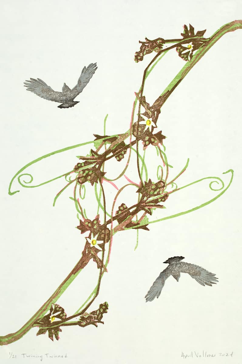 The Flight of Birds: Twining Twinned (ed 21) by April Vollmer  Image: OLD photo Ron Jones, wild cucumber times two
