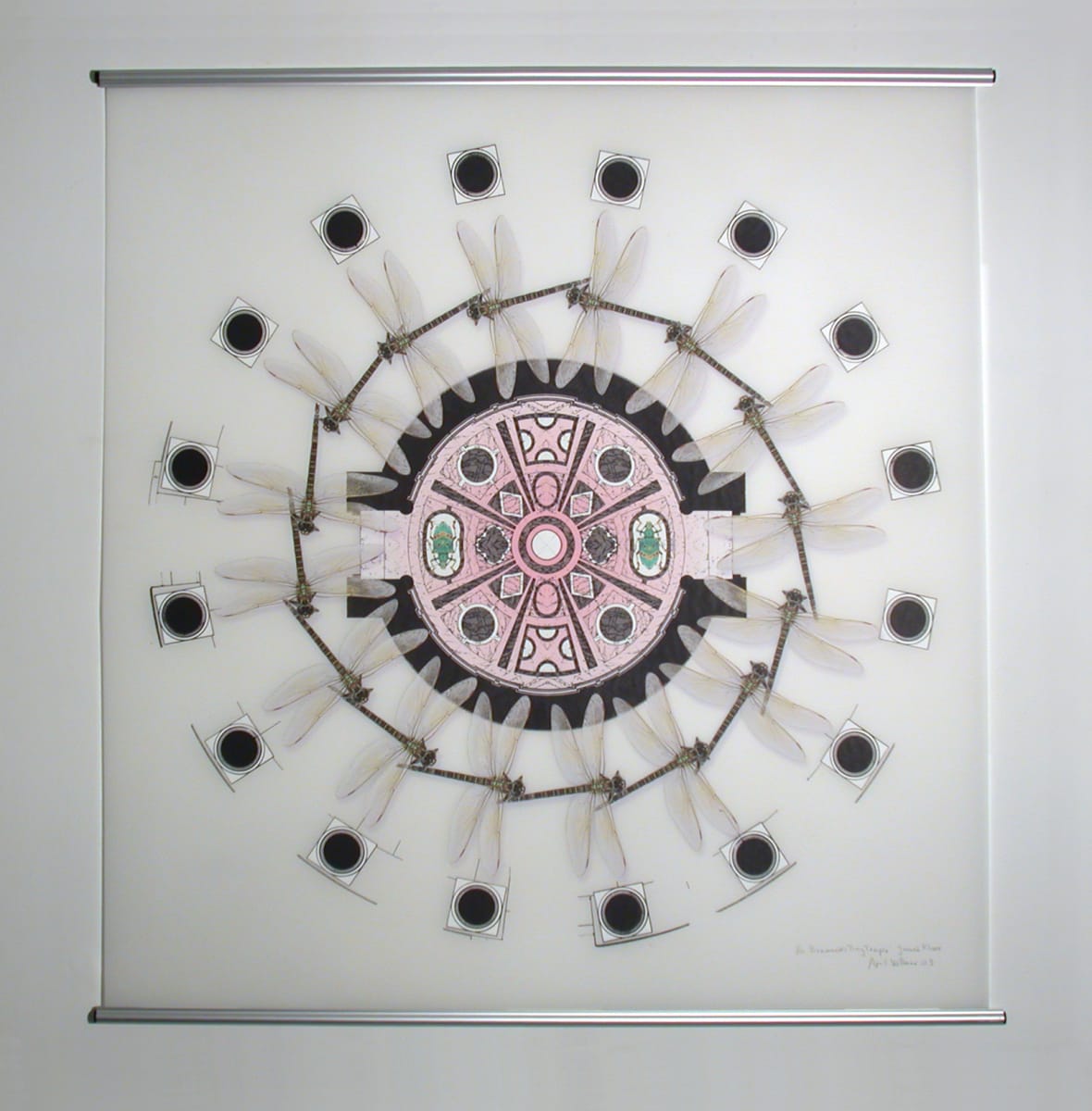 Bramante's Tiny Temple: Basement Floor Plan (dragonflies) by April Vollmer  Image: Bramante's Tiny Temple floor plan with dragonflies, printed on mylar with paper cutouts behind