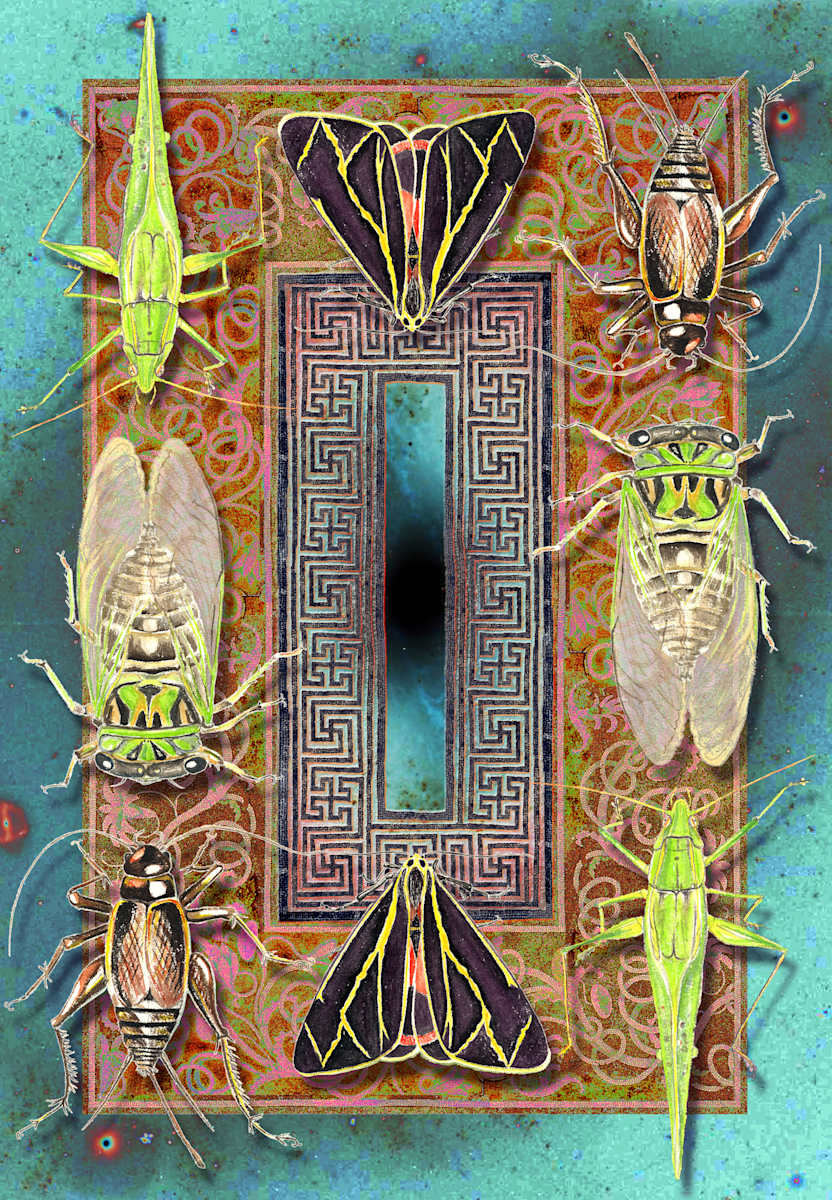 Very Large Array by April Vollmer, Image 2.