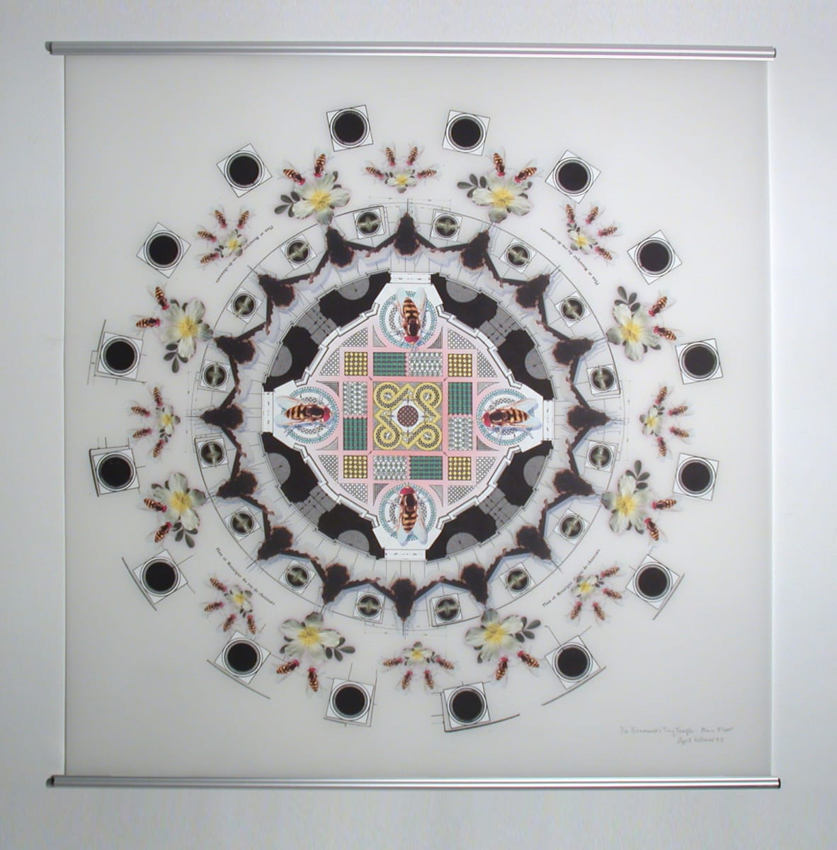 Bramante's Tiny Temple: Ground Floor (radiating syrphid flies) by April Vollmer  Image: Bramante's Tempietto ceiling plan surrounded with flowers, printed on mylar