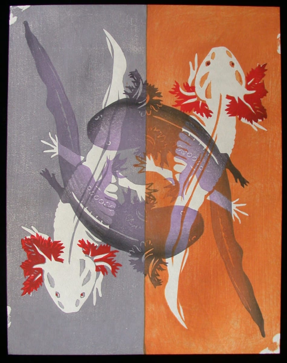 Axolotol Splice (Frogman exchange) by April Vollmer  Image: Axolotl are salamanders that regenerate limbs, studied at St Mary's residency