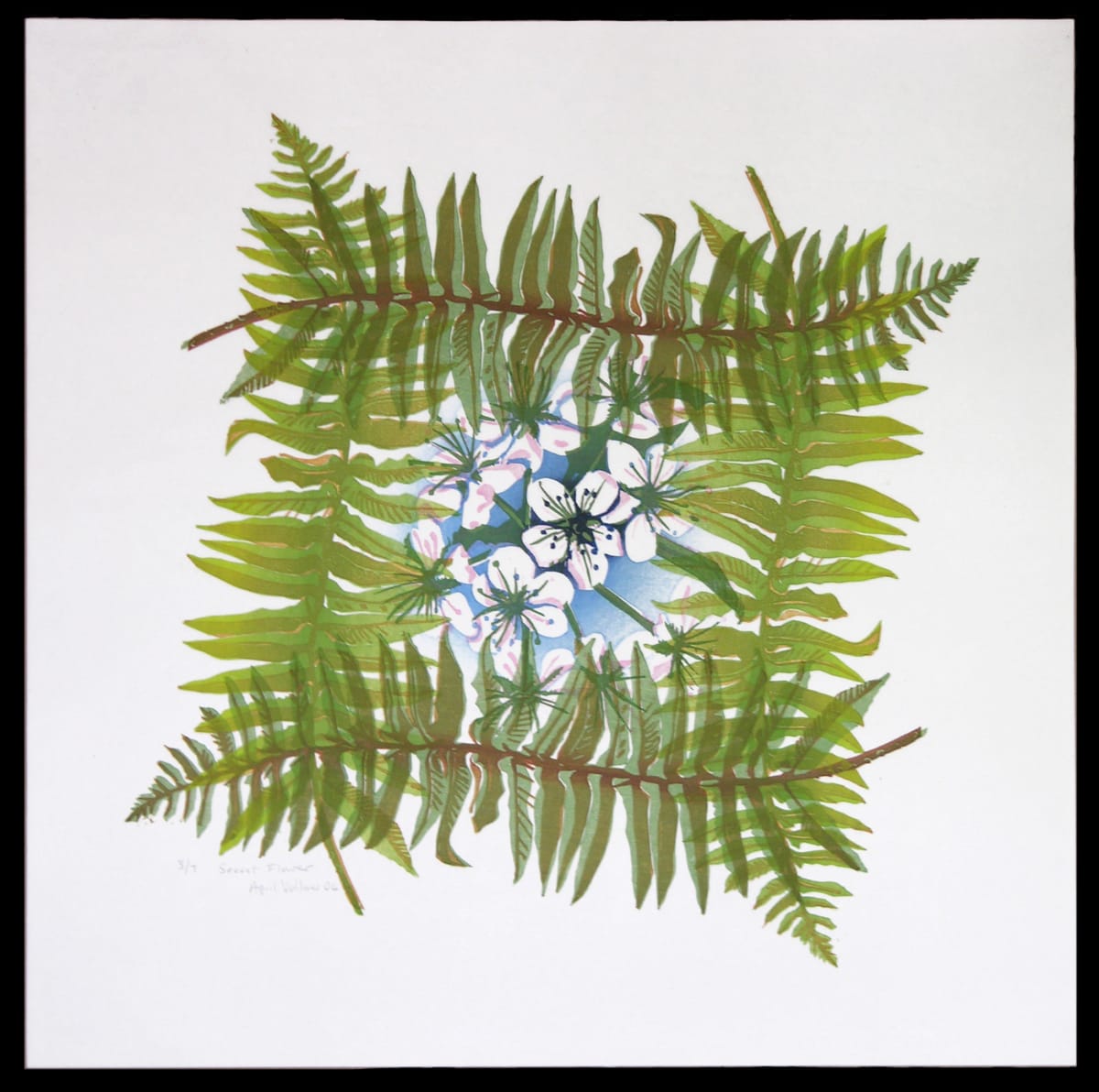 Secret Flower (ed 7) by April Vollmer  Image: ferns surrounding cherry blossom, crowding the image as in Blackout