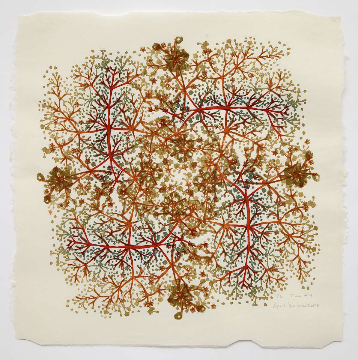 Zova Network #4 (quin red/brown) (ed 6) by April Vollmer  Image: network of elderflowers ed 4/6
