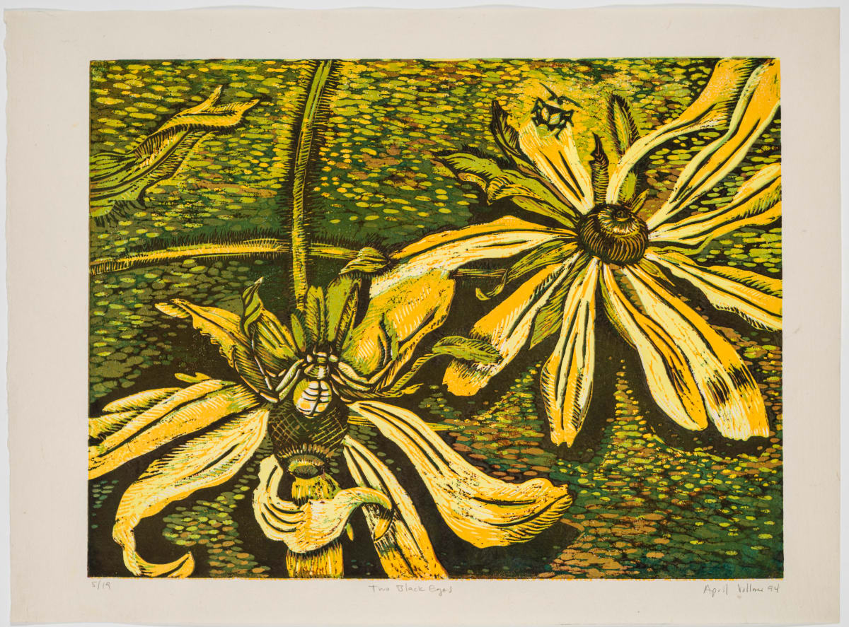 Two Black Eyed Susans by April Vollmer  Image: conceived of at the MacDowell Colony where I was surprised to see this crab spider in ambush