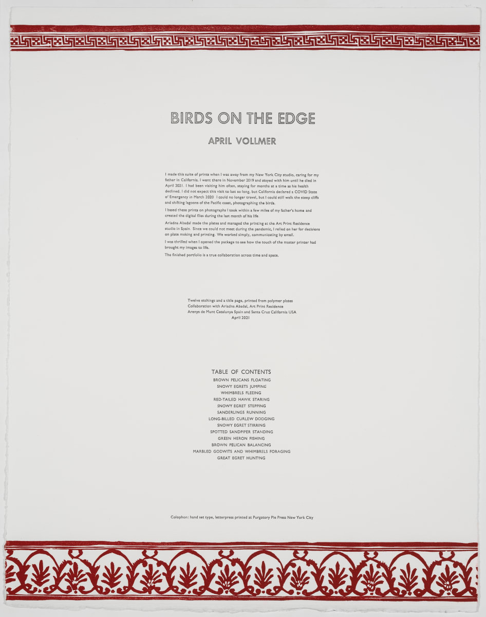 Birds on the Edge Colophon by April Vollmer  Image: title page by Purgatory Pie Press