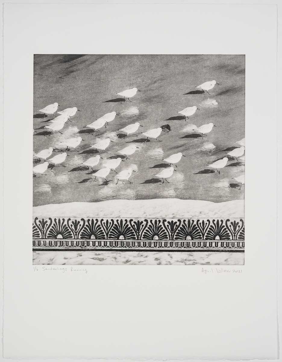 Birds on the Edge: Sanderlings Running by April Vollmer  Image: Sanderlings running along the shore edge with Greek pottery pattern
