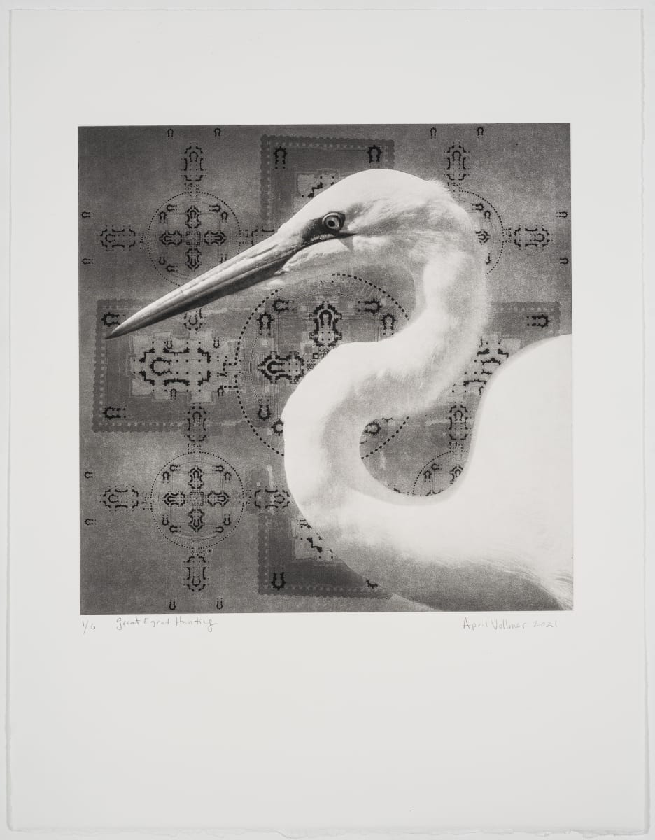 Birds on the Edge: Great Egret Hunting by April Vollmer  Image: great egret with sharp eye overlying a collage of Indian temple plans