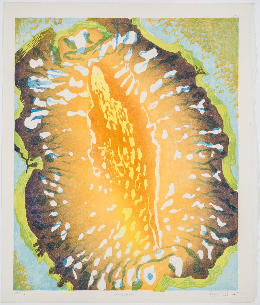 Transition by April Vollmer  Image: an undersea flatworm with gradations suggesting a starry nebula; printed at Women's Studio Workshop