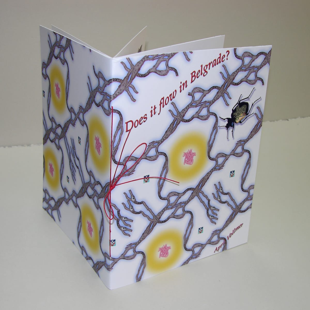 Does it flow in Belgrade? (Urbarium, 8 + 8, Beograd - New York Exchange Portfolio) by April Vollmer  Image: Digital, fanciful book about the reality of Belgrade's rivers and flow